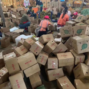 进口泰国金枕榴大量上市欢迎全国各大巿场老板订货