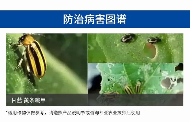 1%联苯菊酯联苯噻虫胺沟施撒施穴施蝼蛄蛴螬地老虎韭蛆蒜蛆
