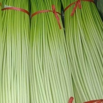 白帽蒜台，大量上市，直，鲜，质量保证，代收，代发，一条龙