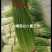 白帽蒜台，大量上市，直，鲜，质量保证，代收，代发，一条龙