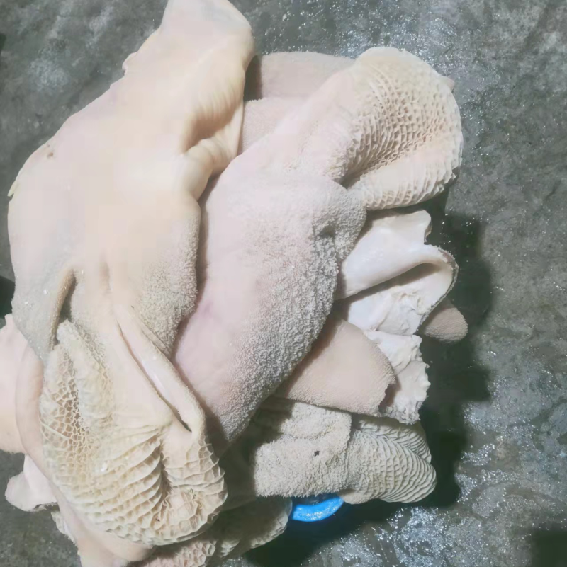 牛大肚