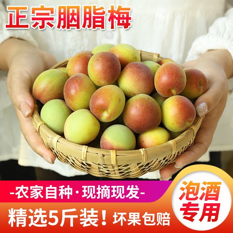 胭脂梅黄梅新鲜青梅果5斤现摘梅子孕妇水果泡酒青梅露酵云南