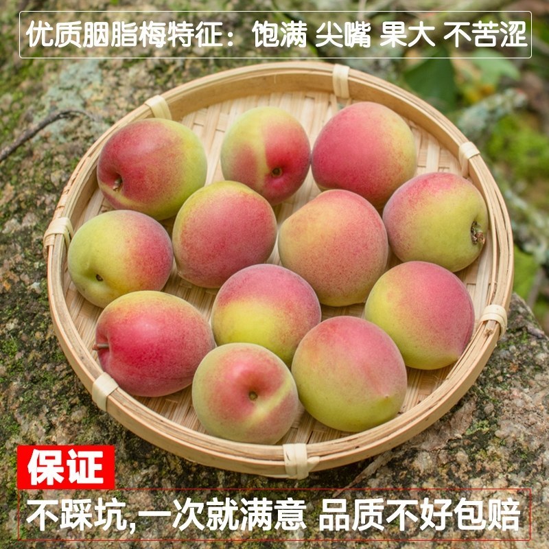 胭脂梅黄梅新鲜青梅果5斤现摘梅子孕妇水果泡酒青梅露酵云南