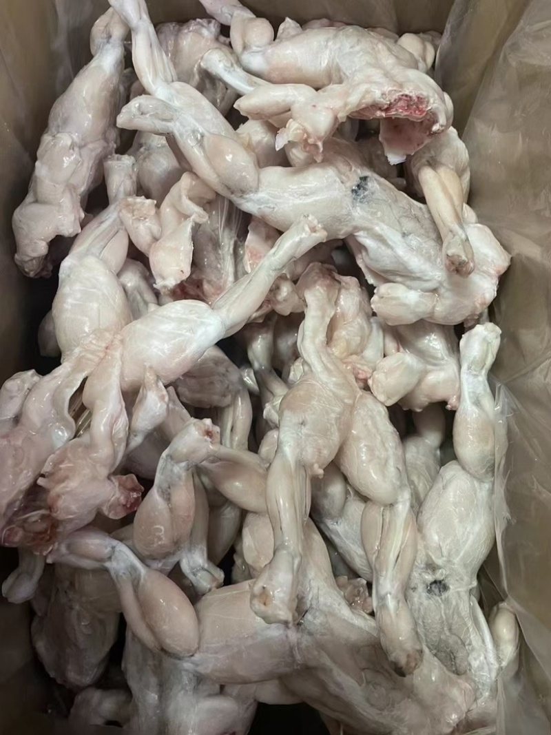 单冻牛蛙，活蛙加工，没有任何死蛙