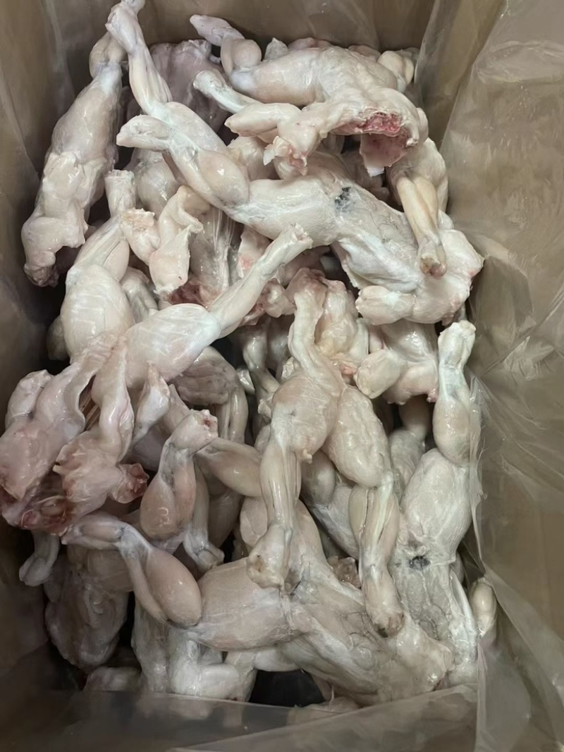 单冻牛蛙，活蛙加工，没有任何死蛙