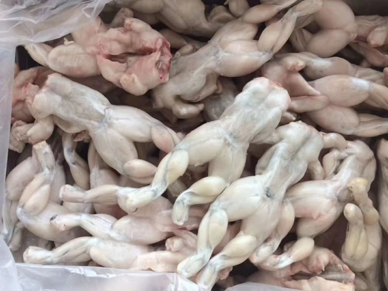 单冻牛蛙，活蛙加工，没有任何死蛙