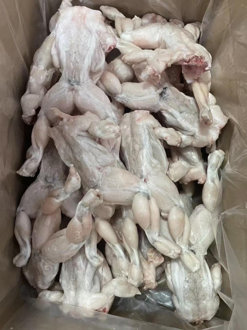 单冻牛蛙，活蛙加工，没有任何死蛙
