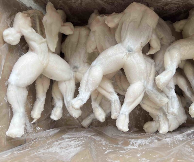 单冻牛蛙，活蛙加工，没有任何死蛙