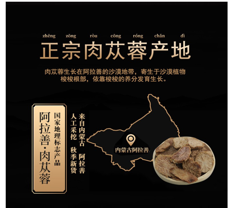 内蒙古阿拉善沙漠肉苁蓉鲜干片大量上市货源充足