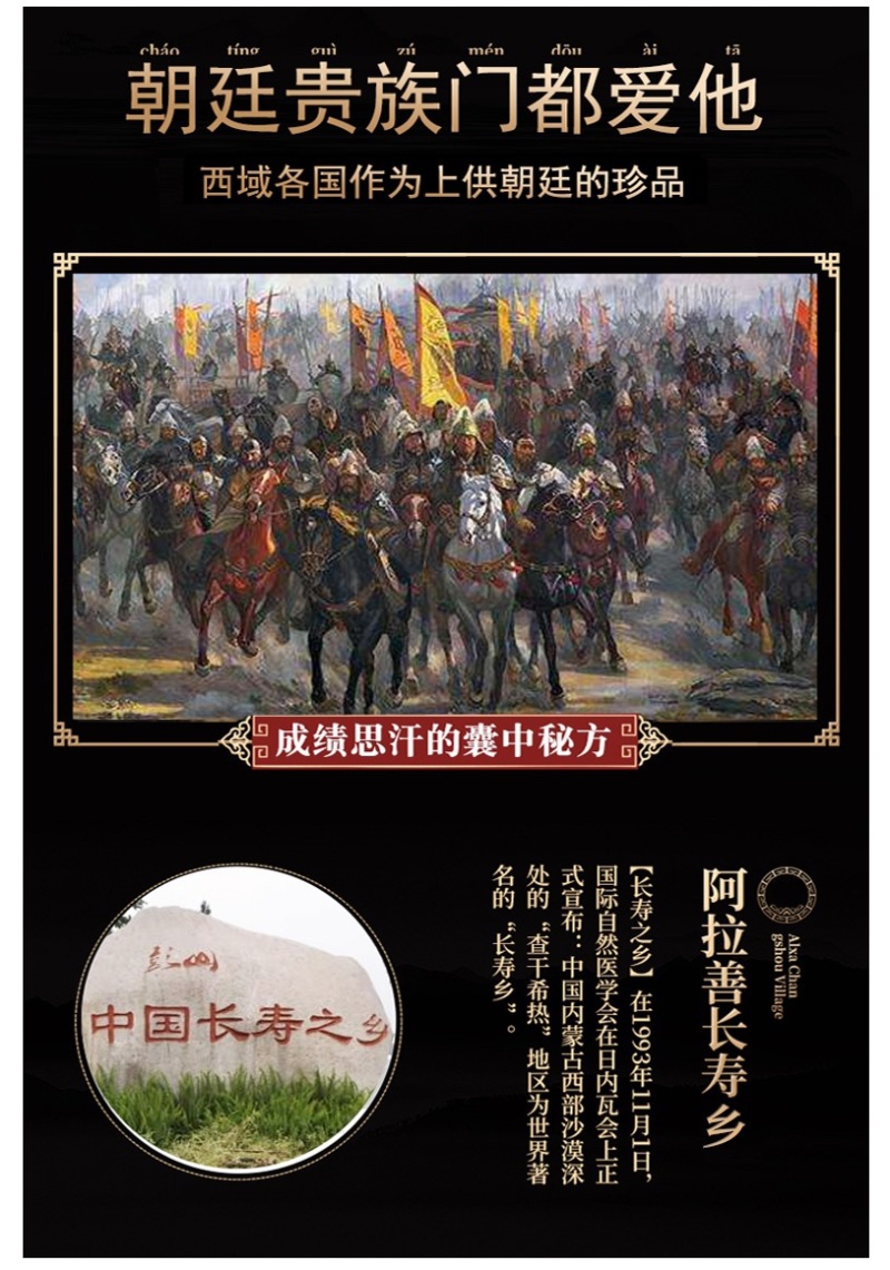 内蒙古阿拉善沙漠肉苁蓉鲜干片大量上市货源充足