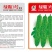 绿霸3号苦瓜种子，耐热，亮绿，不早衰坐果多