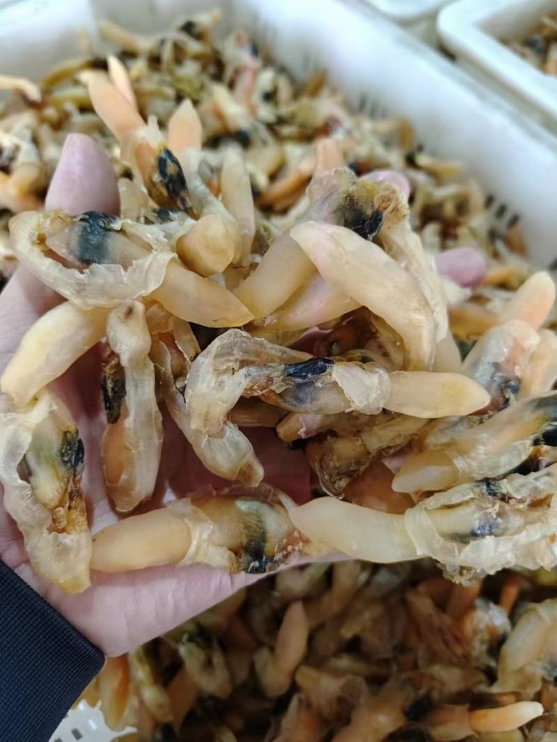 蛏子肉干，籽特别少，高度也很高，品质非常好，欢迎咨询
