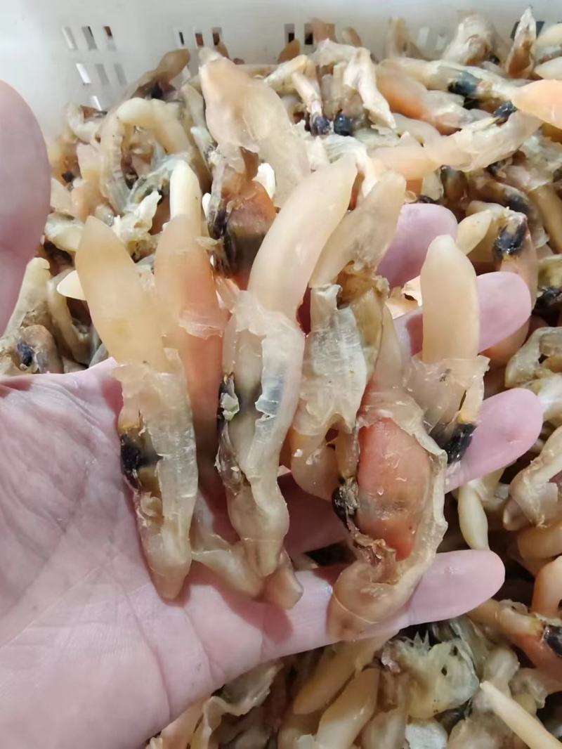 蛏子肉干，籽特别少，高度也很高，品质非常好，欢迎咨询