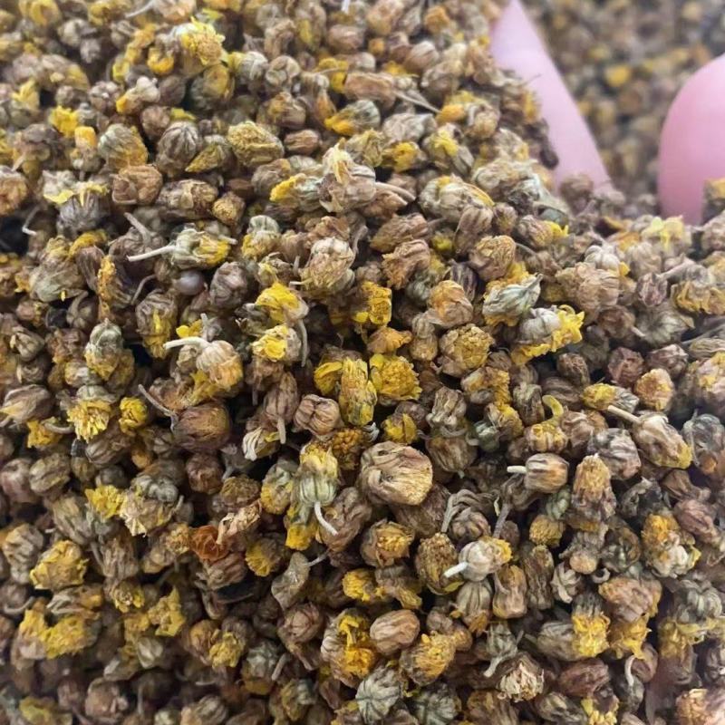 菊花菊花茶花蕾菊花茶花茶大全