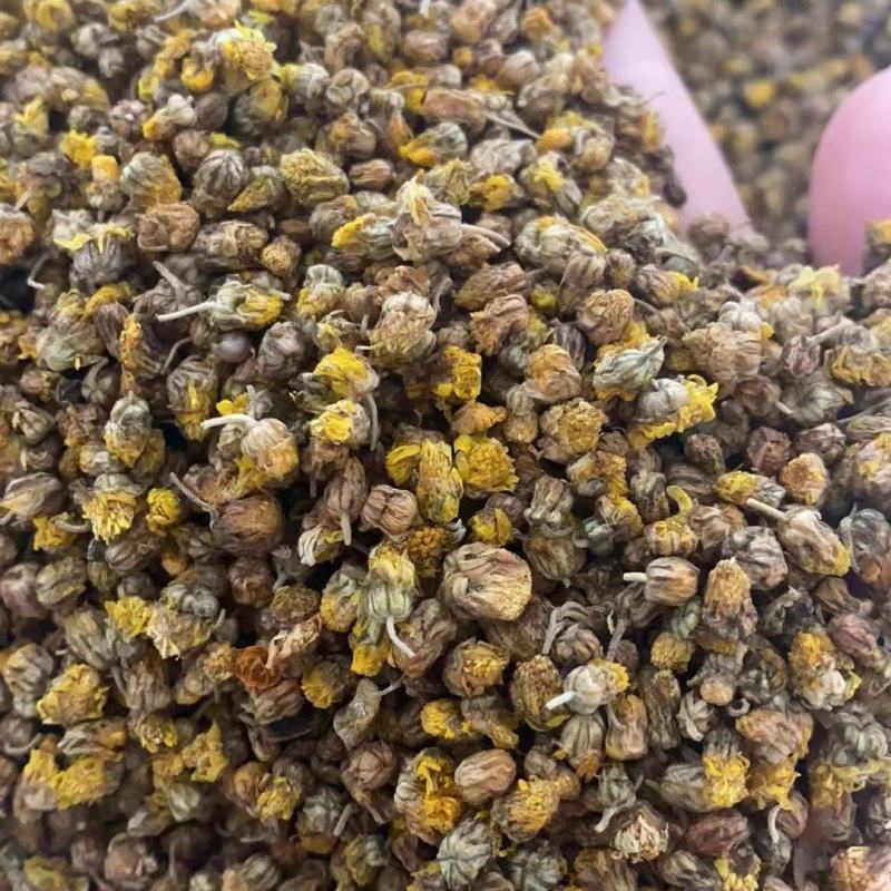 菊花菊花茶花蕾菊花茶花茶大全