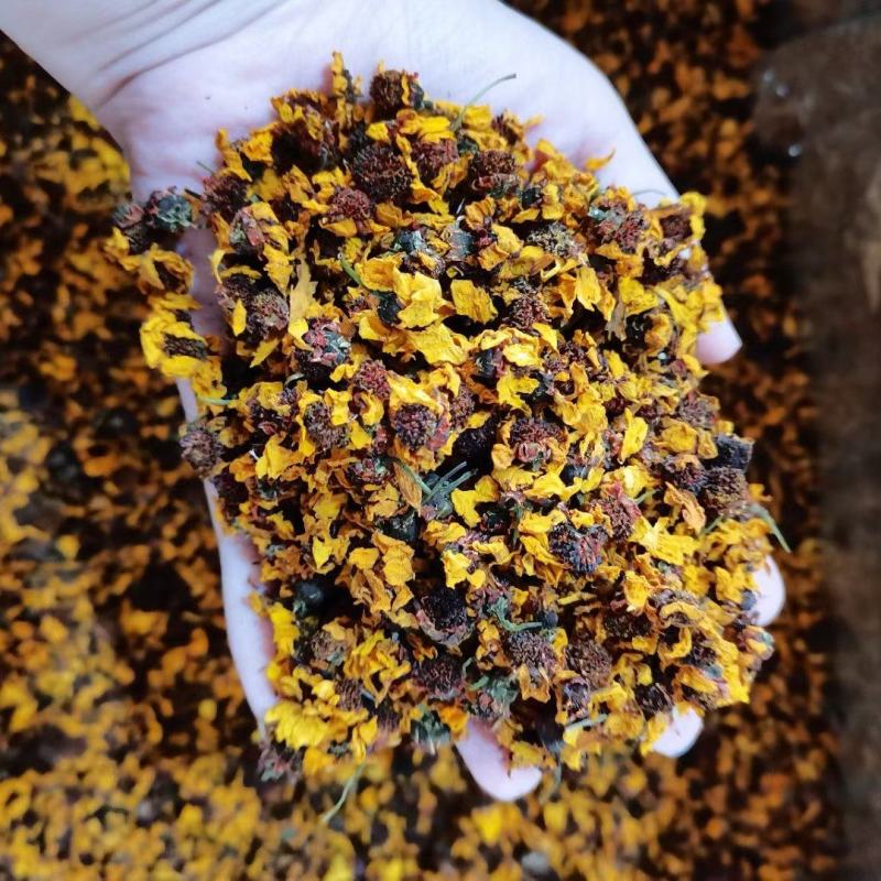 菊花菊花茶花蕾菊花茶花茶大全