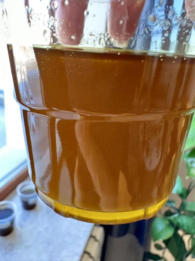 大量供应内蒙古呼伦贝尔油菜籽，俄罗斯油菜籽。一手货源