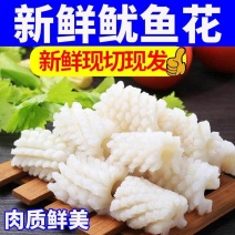 新鲜鱿鱼花冷冻目鱼花肉无冰衣深海生鱿鱼卷块海鲜火锅食材