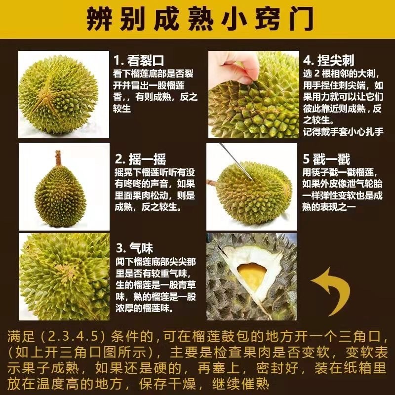 2024年泰国新鲜榴莲支持各大平台直播带货，一件代发