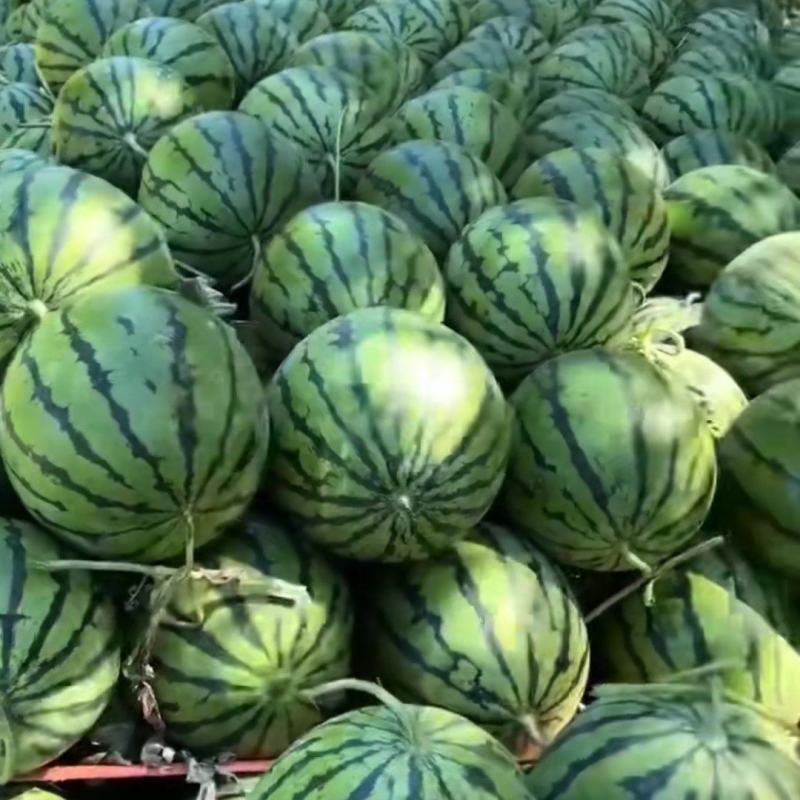 夏邑美都西瓜，甜王，麒麟西瓜产地一手货源，包熟包甜，来电