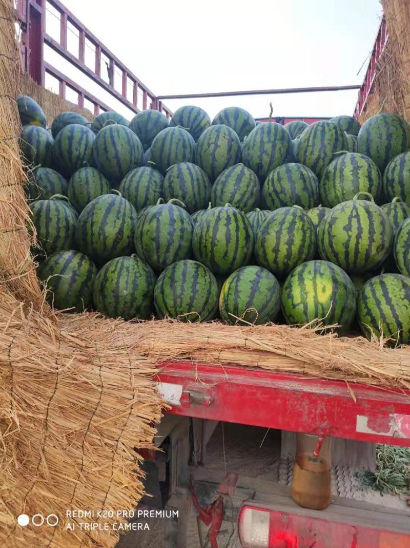 夏邑美都西瓜，甜王，麒麟西瓜产地一手货源，包熟包甜，来电