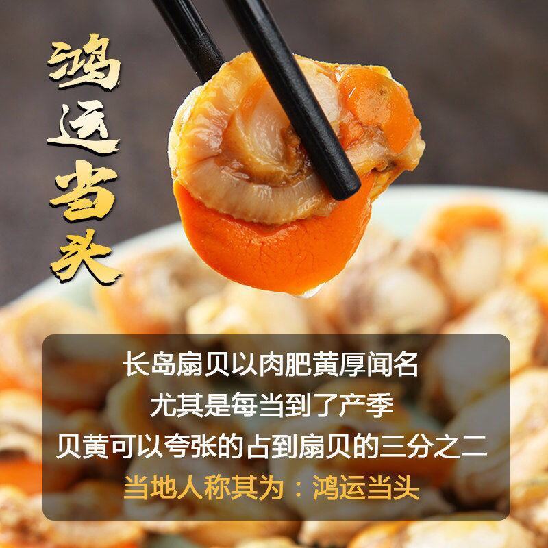 带壳扇贝海捕小红贝新鲜刺贝海鲜水产贝类批发