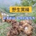 野生中药材黄精支持批发零售全国发货价格实惠保质