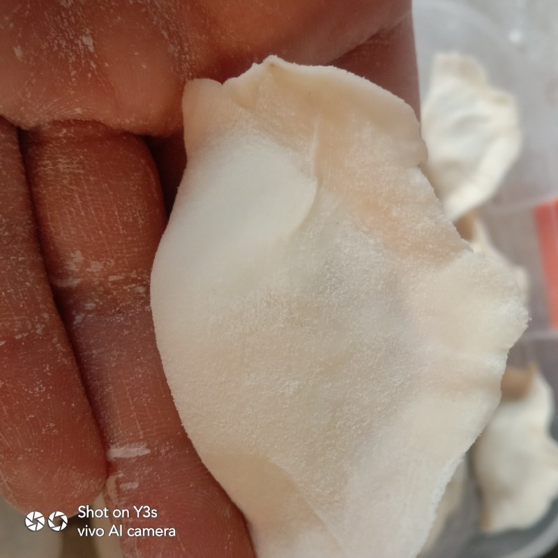 纯手工水饺手切肉的各种蔬菜肉蔬菜鸡蛋的全手工制作