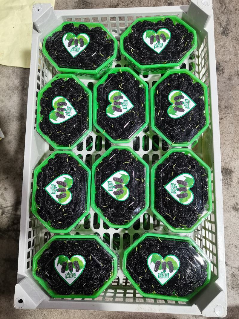 桑葚果