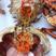 红膏蟹，(青蟹)，红膏母蟹，活冻品质，6只包邮