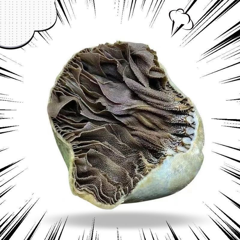 新鲜牛百叶精品牛百叶现货供应货量足支持视频看货