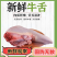 新鲜牛舌精品牛舌新鲜现货供应厂家发货货量充足