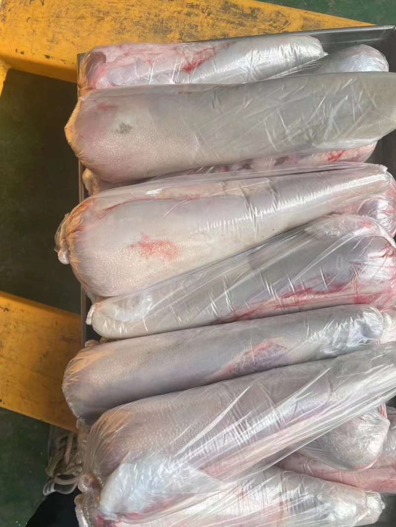 新鲜牛舌精品牛舌新鲜现货供应厂家发货货量充足