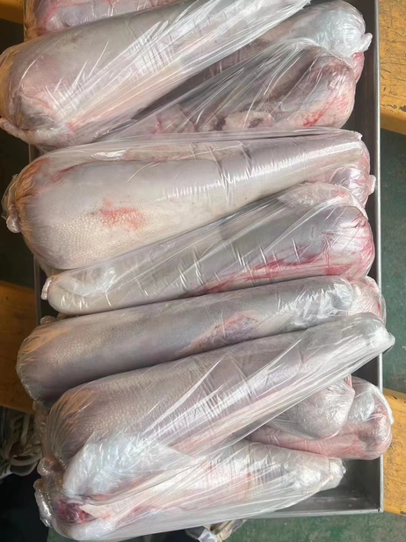 新鲜牛舌精品牛舌新鲜现货供应厂家发货货量充足