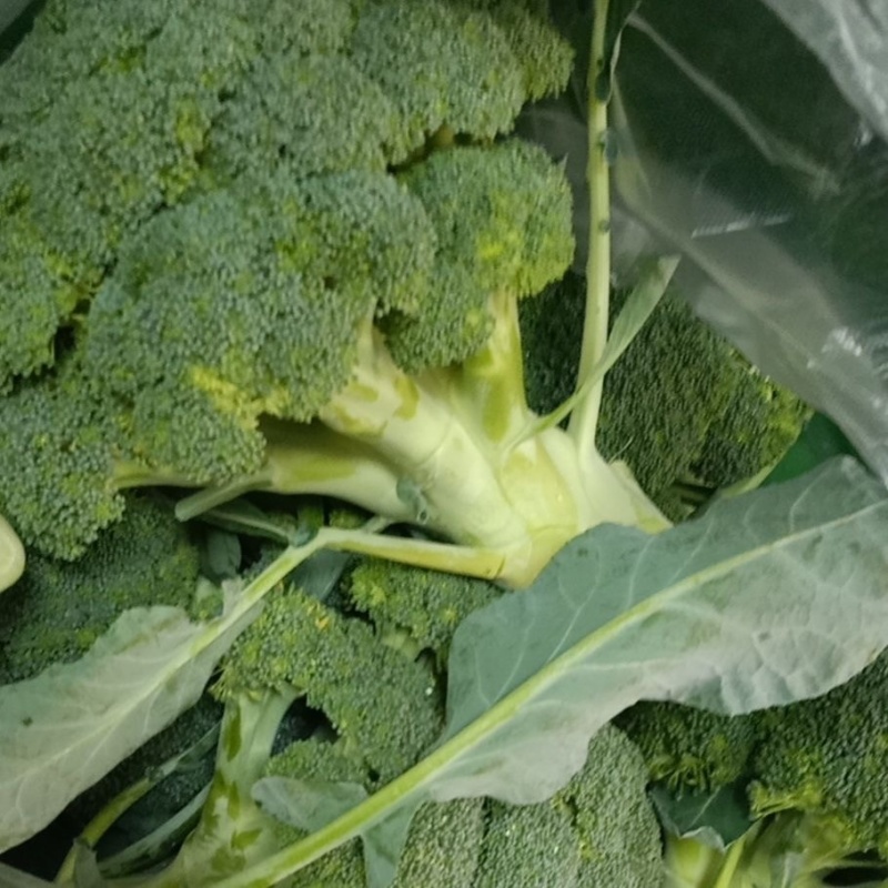 各种包装大量平台货电商货