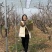 大量供应野生蒲公英，婆婆丁，代收代发常年供应电商团购