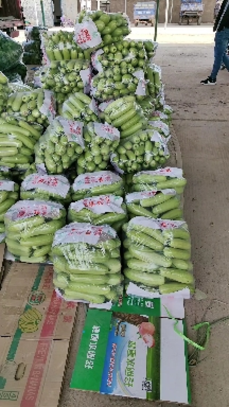 绿皮西葫芦，西葫芦，产地直发，全国批发市场，超市，工厂