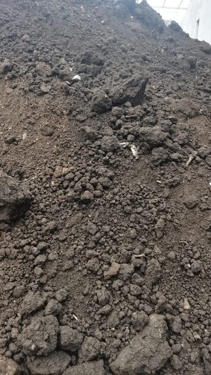 纯干猪粪有机肥30的水份