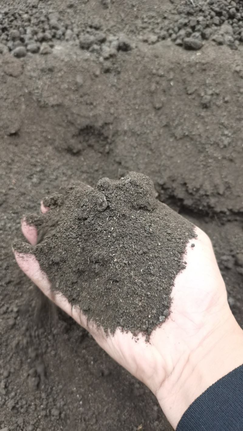 纯干猪粪有机肥30的水份