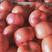 硬粉西红柿，供应各大市场商超电商平台，代收代发全国各地