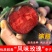 嫁接风味玫瑰李子树苗5月下旬成熟早熟红心李苗北南方种