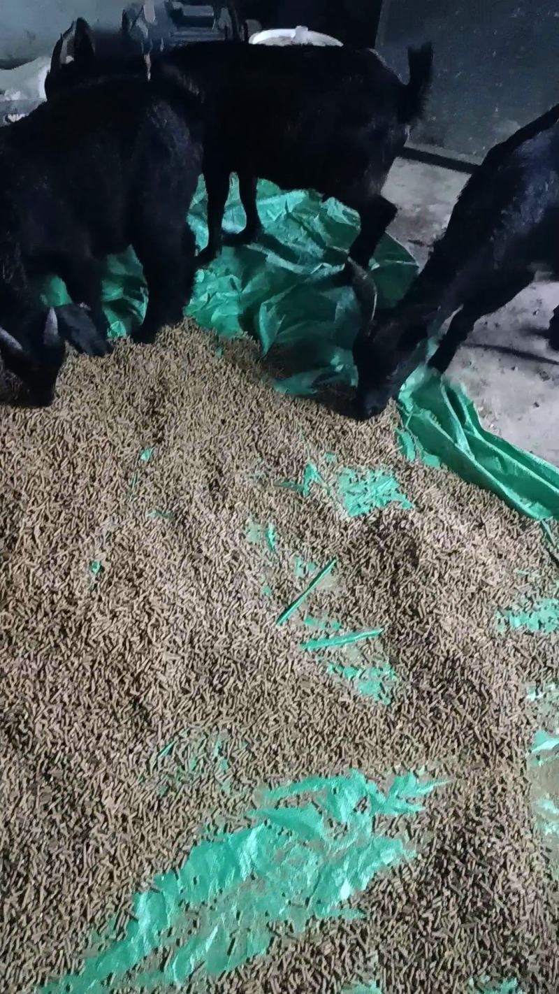 餐厨粉：20蛋白，12油脂，大厂出，质量保证适合鸡鸭鹅鱼