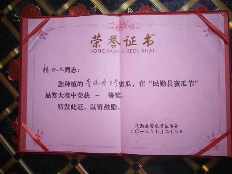 青脆蜜8号哈蜜瓜种子中熟墨绿斑点松脆大果抗病抗裂