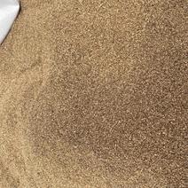 蛋白虫虫沙