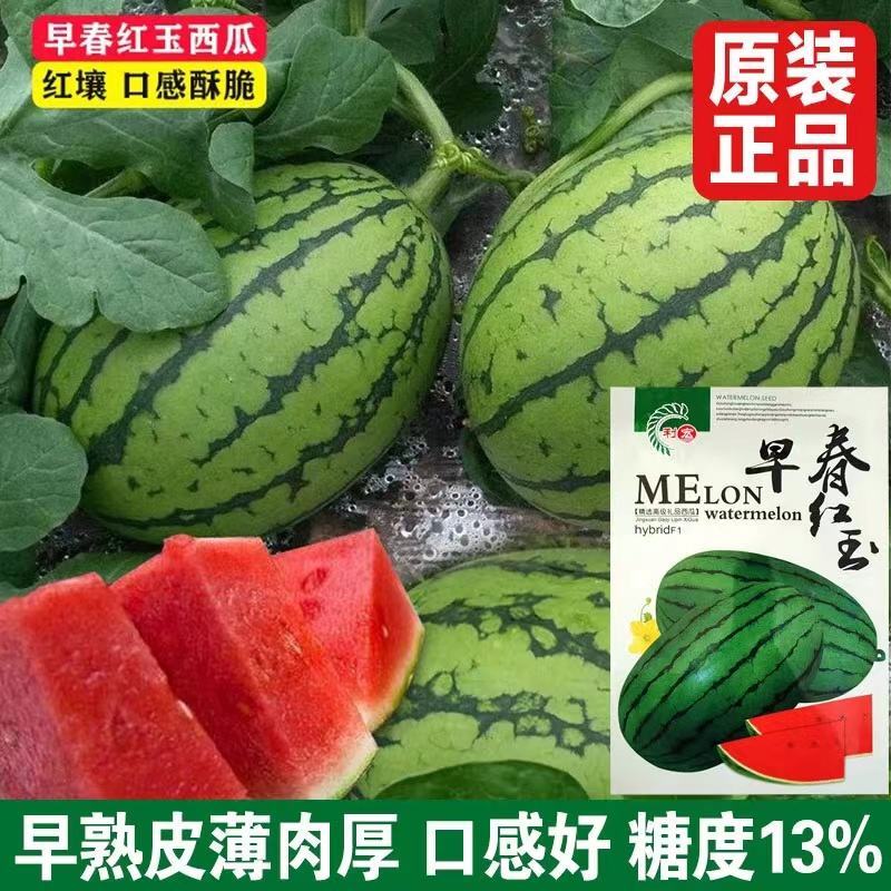 早春红玉2k手撕西瓜，冰糖西瓜，专业代办，一件代发电商单