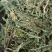 伸筋草，产地四川，货源充足，道地药材，大货供应