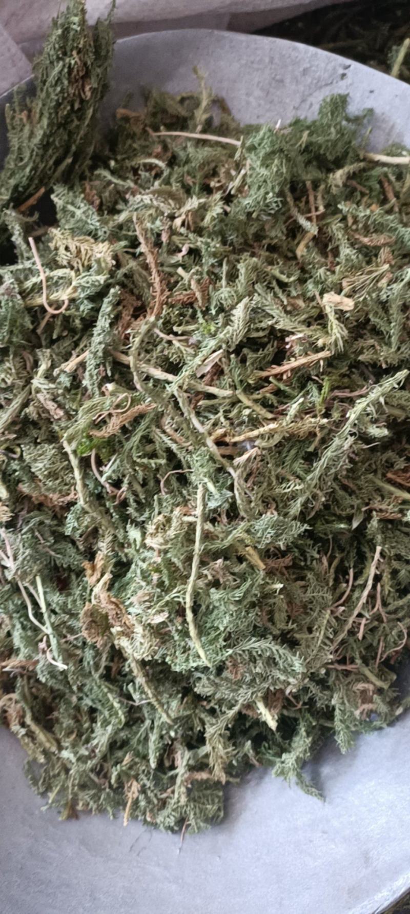 伸筋草，产地四川，货源充足，道地药材，大货供应