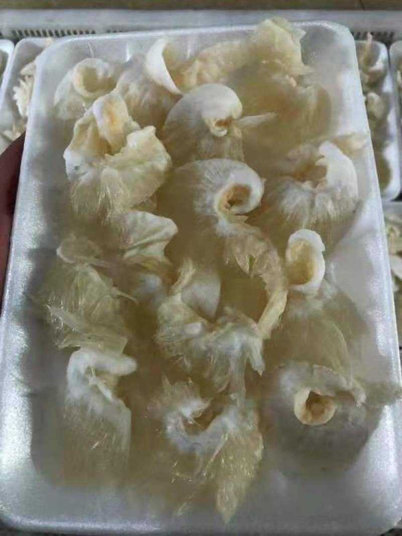 金勾翅，鱼翅，翅针