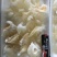 金勾翅，鱼翅，翅针