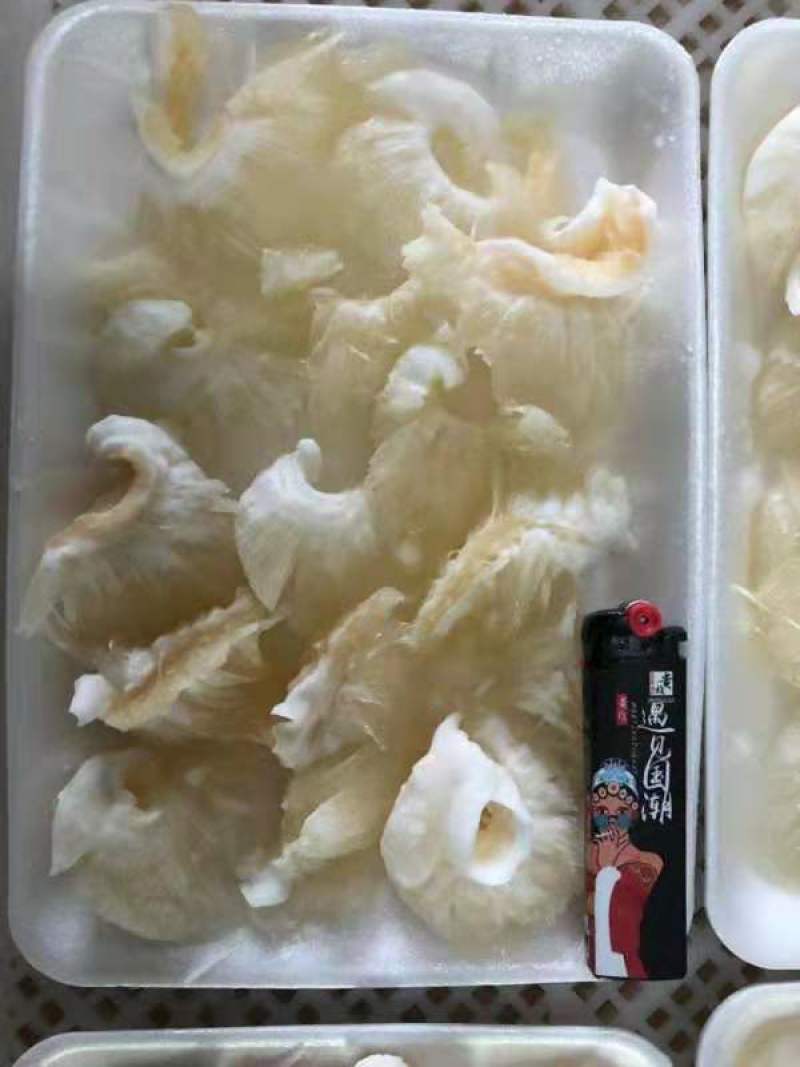 金勾翅，鱼翅，翅针